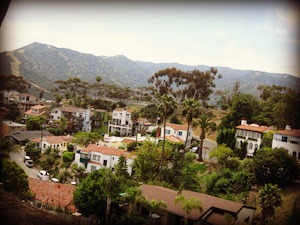 view