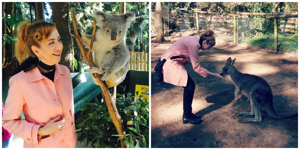 Koala Sanctuary, Sydney Australia