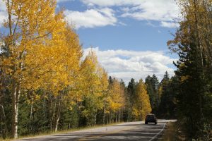 Colorado leaf peeping