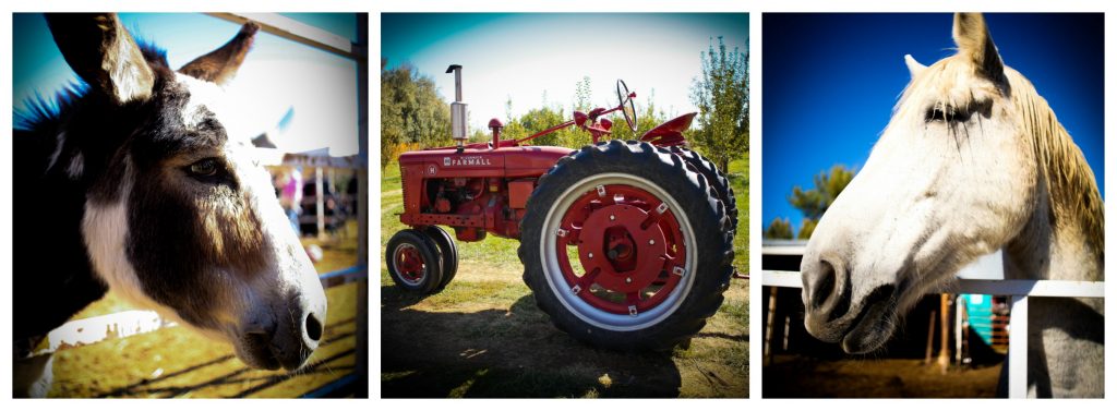 YaYa Farm Animals and Tractor